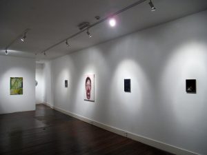 Gallery Artists | CHARLIE SMITH LONDON | Installation View (1) | 2013
